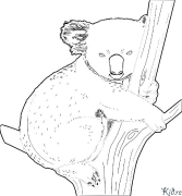 koala Çap Etmək Üçün Səhifələrin Rənglənməsi